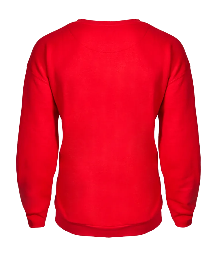 Visuel Sweat Rouge Junior Losc