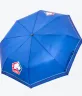 Visuel PARAPLUIE BLEU LOSC