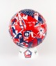 Visuel Ballon LOSC x REBOND