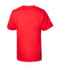 Visuel T-shirt "FORTS" Adulte